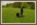 Halterin Hund, Wiese Man and Dog, Kurs Hundegruppe