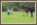 Gruppe Wiese, Treffen Hund, Parcours Training