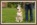 Hund sitzt, Kommando Hund, Hundeschule Man and Dog
